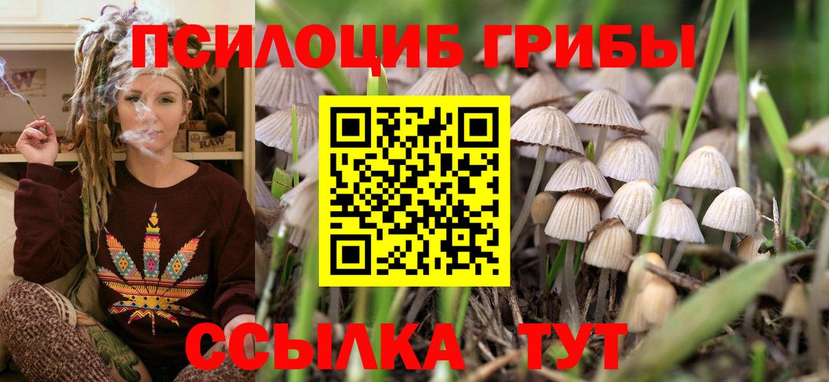 Кропоткин  Галлюциногенные грибы Psilocybe  Вход с VPN  Псилоцибиновые грибы Psilocybe 