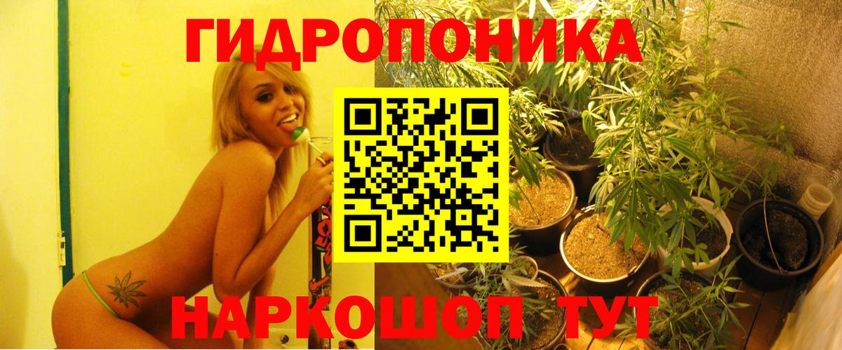 Конопля Bruce Banner Кропоткин